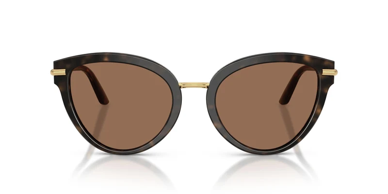 Dolse & Gabana 4492 Sunglasses