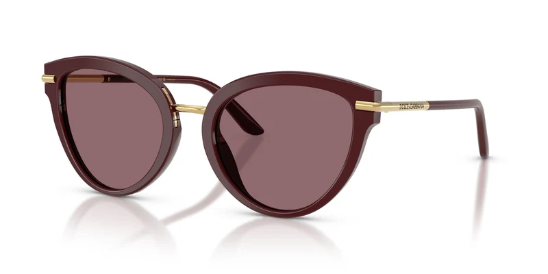 Dolse & Gabana 4492 Sunglasses