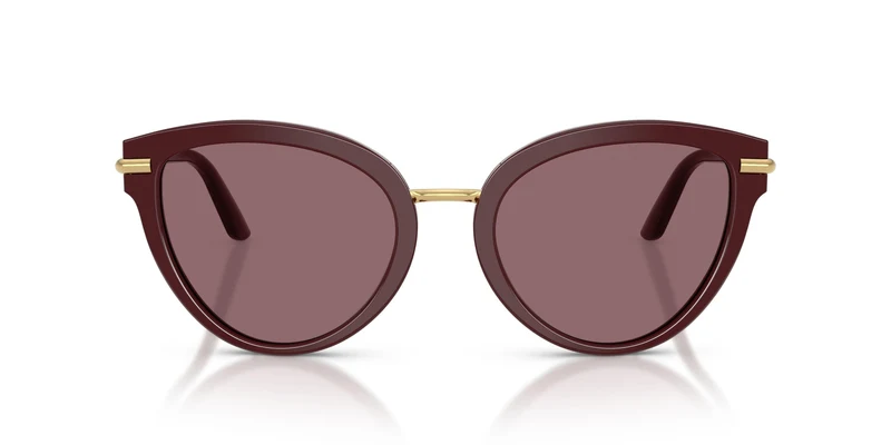 Dolse & Gabana 4492 Sunglasses