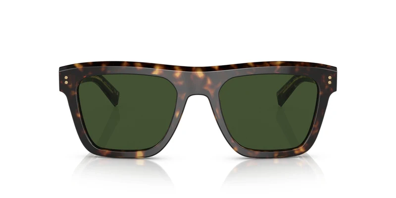 Dolse & Gabana 4420F Sunglasses