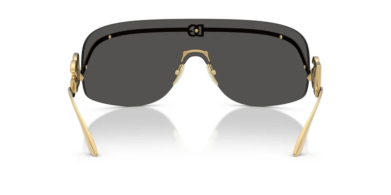 Dolse & Gabana 2320 Sunglasses
