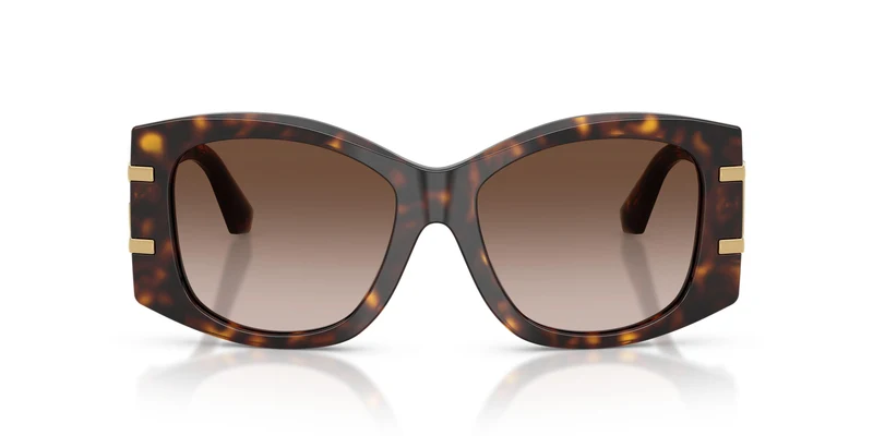 Dolse & Gabana 4501 Sunglasses