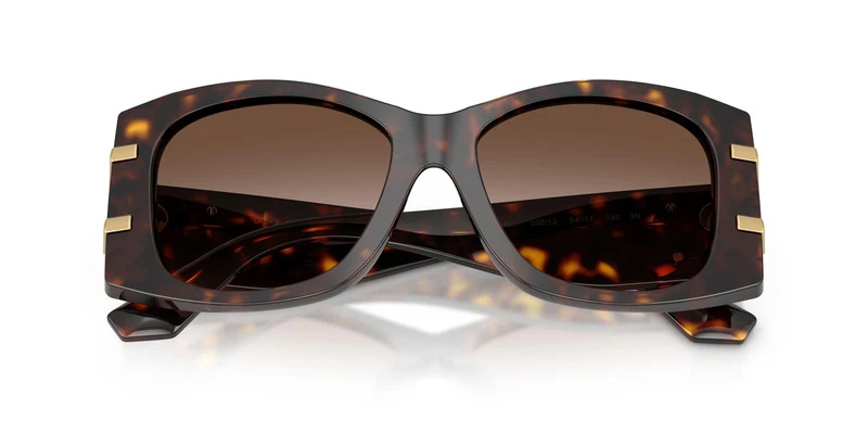 Dolse & Gabana 4501 Sunglasses