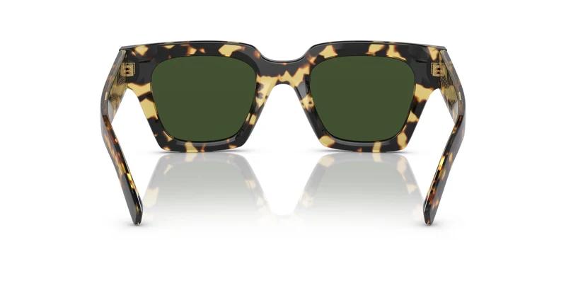 Dolse & Gabana 4413 Sunglasses