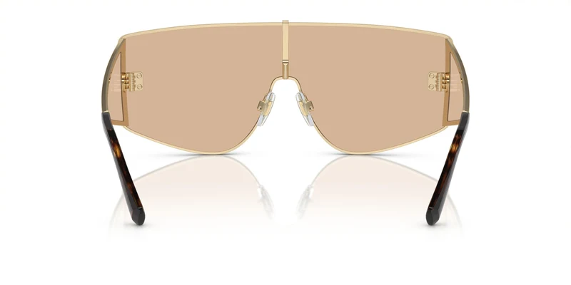 Dolse & Gabana 2305 Sunglasses