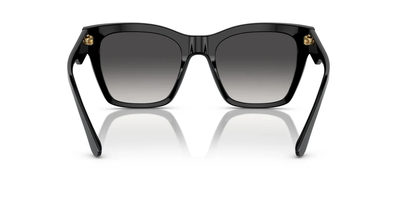 Dolse & Gabana 4384 Sunglasses
