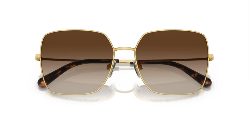 Dolse & Gabana 2242 Sunglasses