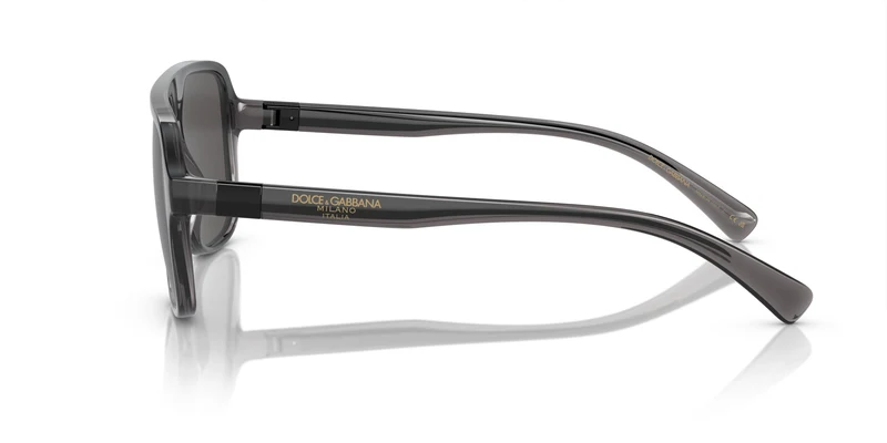 Dolse & Gabana 6134 Sunglasses
