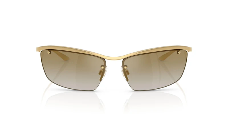 Dolse & Gabana 2307 Sunglasses