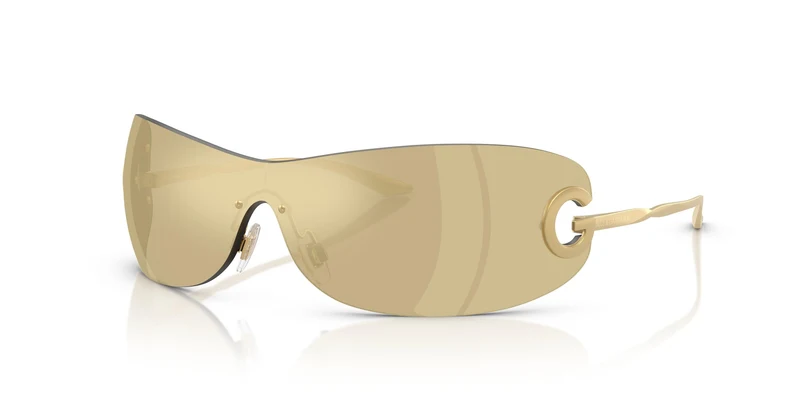 Dolse & Gabana 2308 Sunglasses