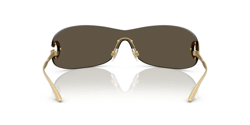 Dolse & Gabana 2308 Sunglasses