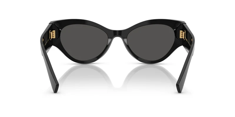 Dolse & Gabana 4480F Sunglasses