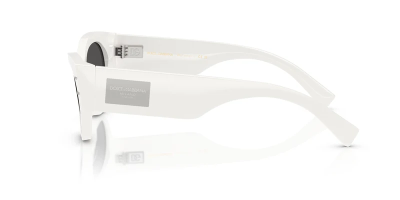 Dolse & Gabana 4480F Sunglasses