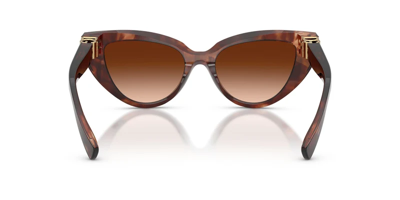 Dolse & Gabana 4497 Sunglasses