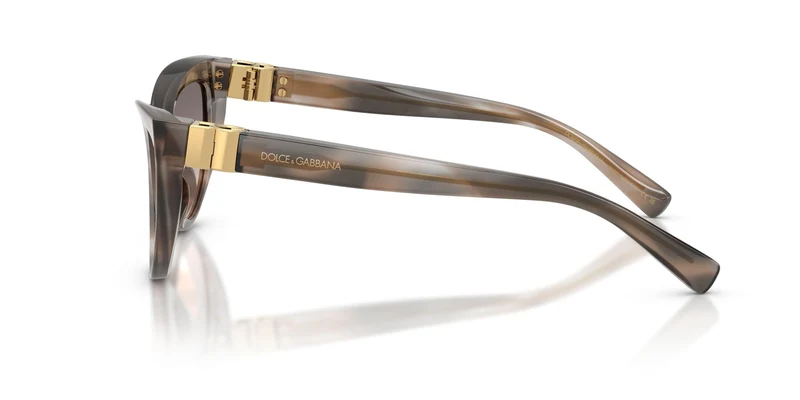 Dolse & Gabana 4497 Sunglasses
