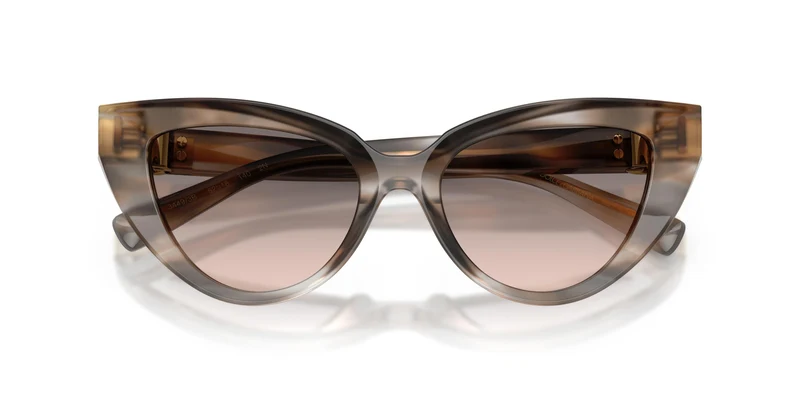 Dolse & Gabana 4497 Sunglasses