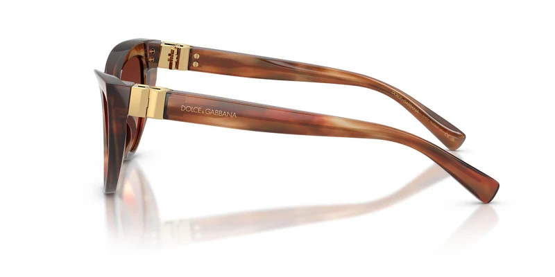Dolse & Gabana 4497 Sunglasses