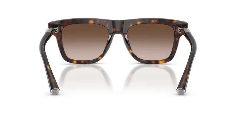 Dolse & Gabana 4521 Sunglasses