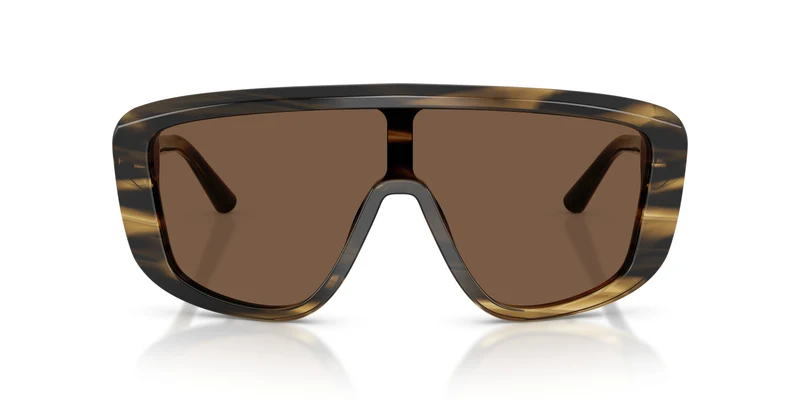 Dolse & Gabana 4520 Sunglasses