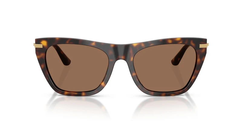 Dolse & Gabana 4511 Sunglasses