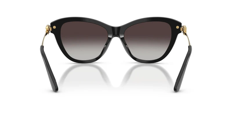 Dolse & Gabana 4534 Sunglasses