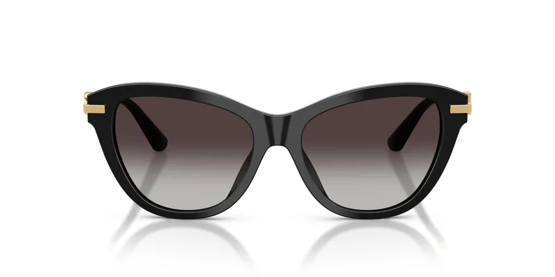 Dolse & Gabana 4534 Sunglasses