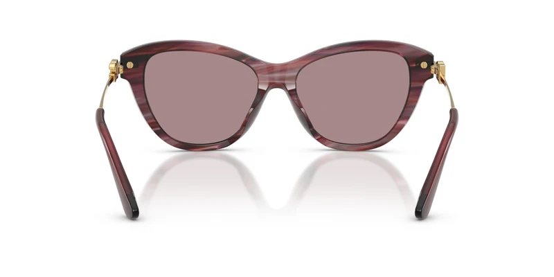 Dolse & Gabana 4534 Sunglasses