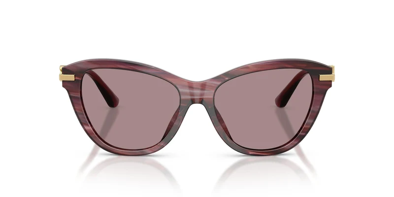 Dolse & Gabana 4534 Sunglasses