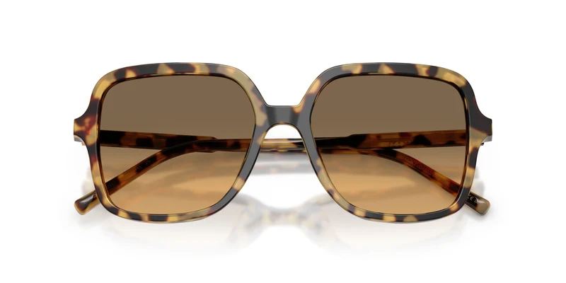 Dolse & Gabana 4539 Sunglasses