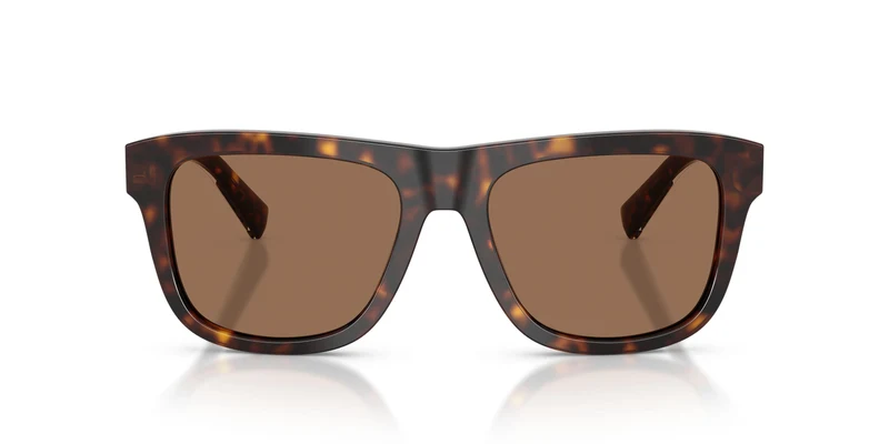 Dolse & Gabana 4545 Sunglasses