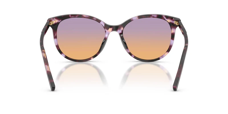 Dolse & Gabana 4540 Sunglasses