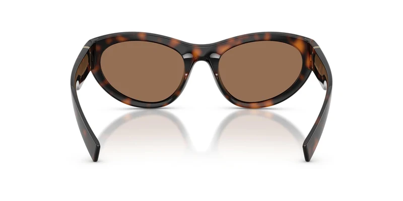 Dolse & Gabana 6207 Sunglasses