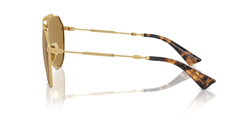 Dolse & Gabana 2302 Sunglasses
