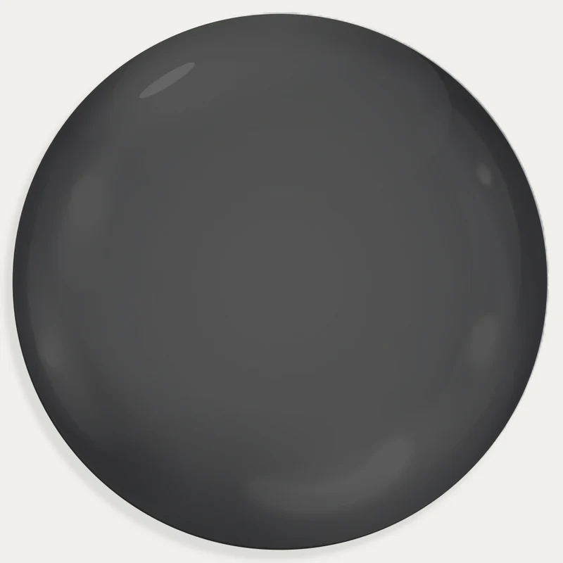 Verres solaires noirs
