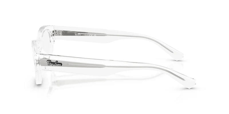 Ray-Ban RX5447 2001 53