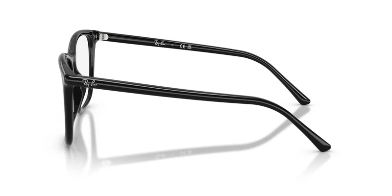 Ray-Ban RX5455 2000 52