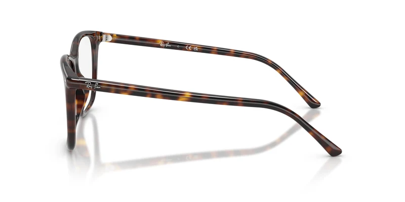 Ray-Ban RX5455 2012 54