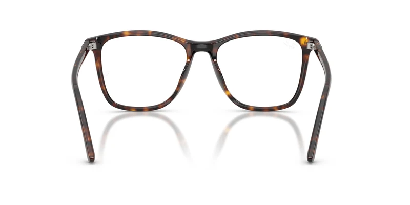 Ray-Ban RX5455 2012 54