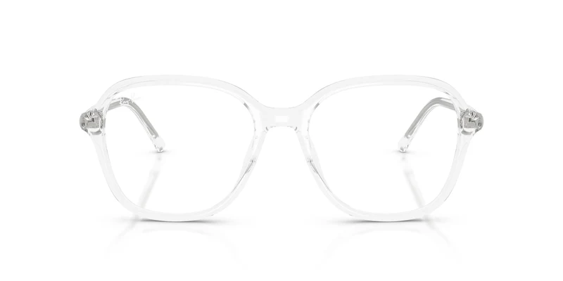 Ray-Ban RX5456 2001 56