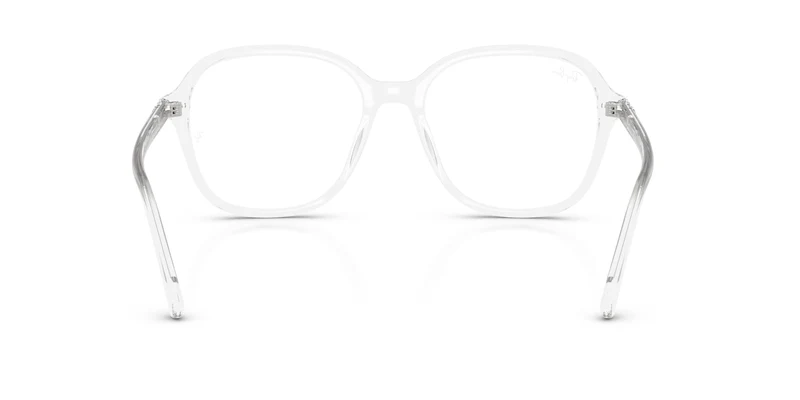Ray-Ban RX5456 2001 54
