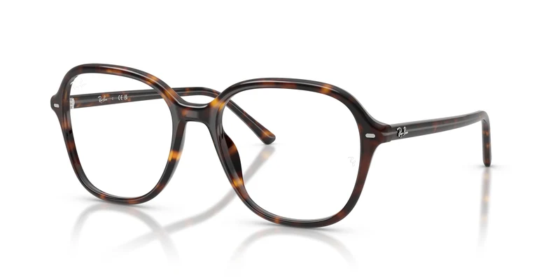 Ray-Ban RX5456 2012 54