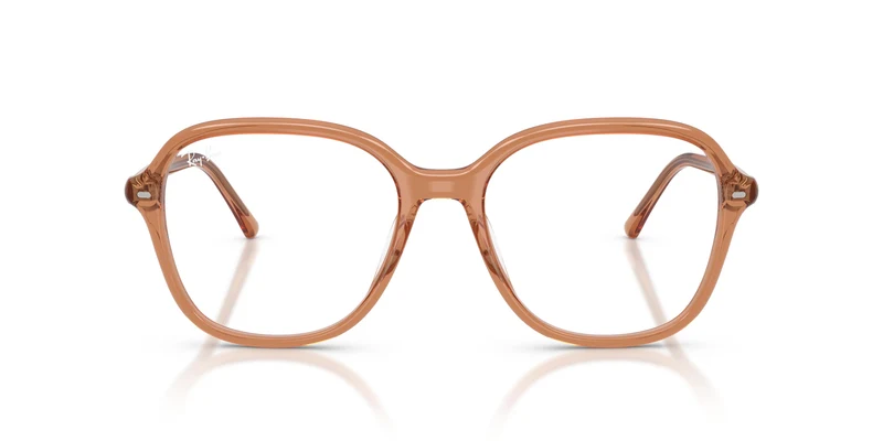 Ray-Ban RX5456 8537 56