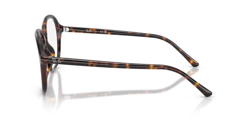 Ray-Ban RX5456 2012 56