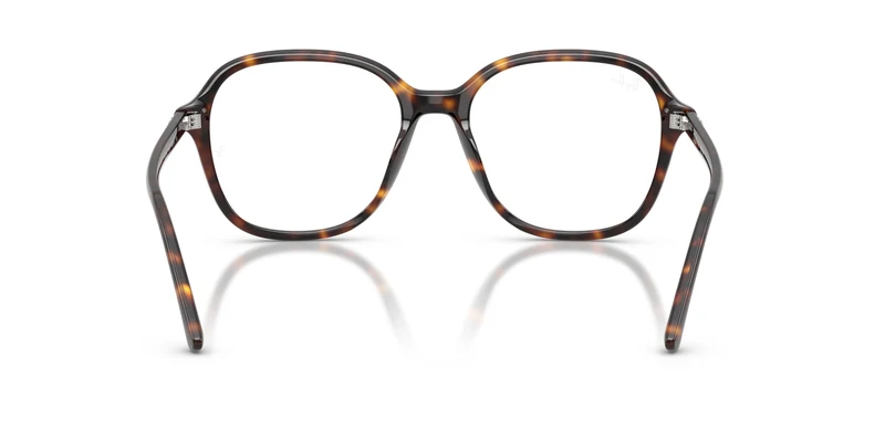 Ray-Ban RX5456 2012 56
