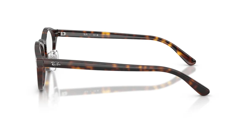 Ray-Ban RX5457D 2012 48