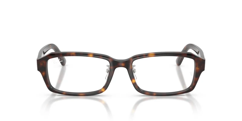 Ray-Ban RX5458D 2012 54