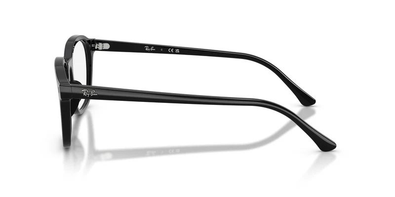 Ray-Ban RX5460 2000 52