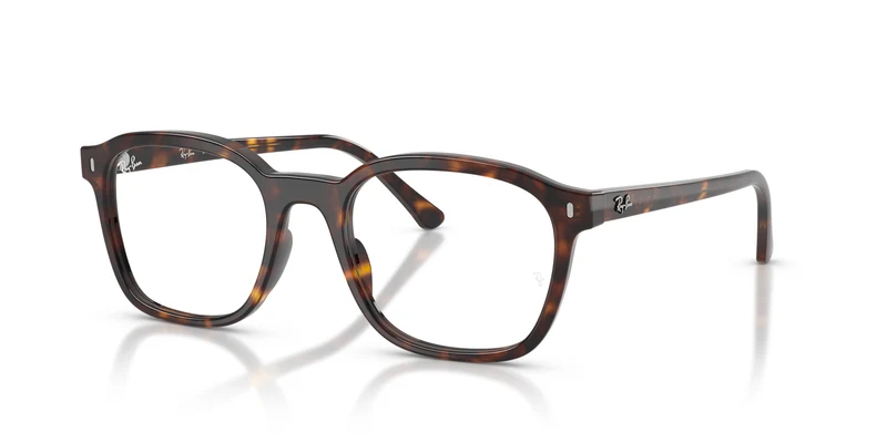 Ray-Ban RX5460 2012 52