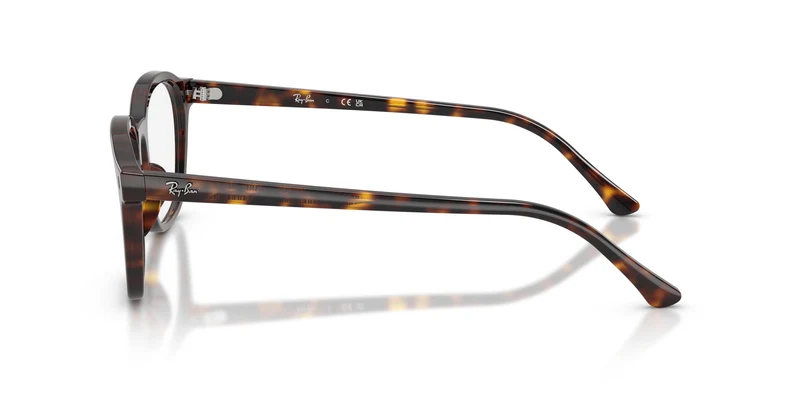 Ray-Ban RX5460 2012 50