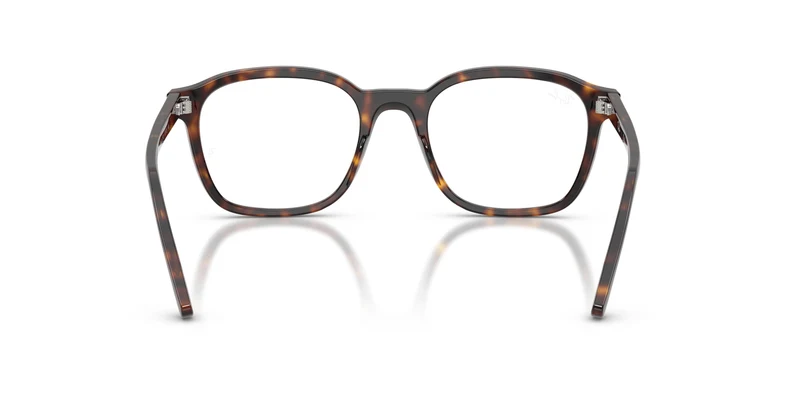 Ray-Ban RX5460 2012 50